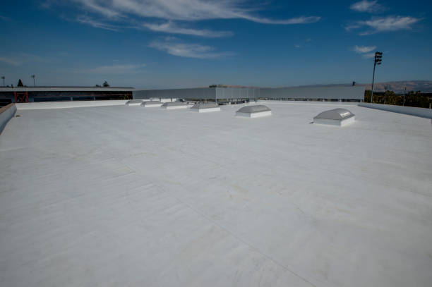Best Roof Insulation Installation  in Cheswold, DE