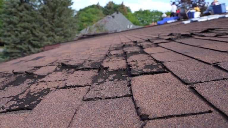 Asphalt Shingles Roofing in Cheswold, DE