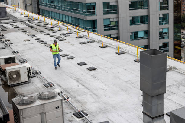 Best Solar Panel Roofing Installation  in Cheswold, DE