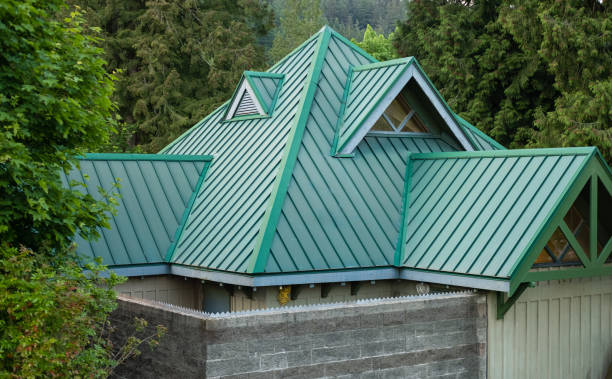Best Skylight Installation and Repair  in Cheswold, DE