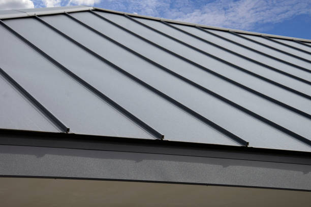 Best Steel Roofing  in Cheswold, DE